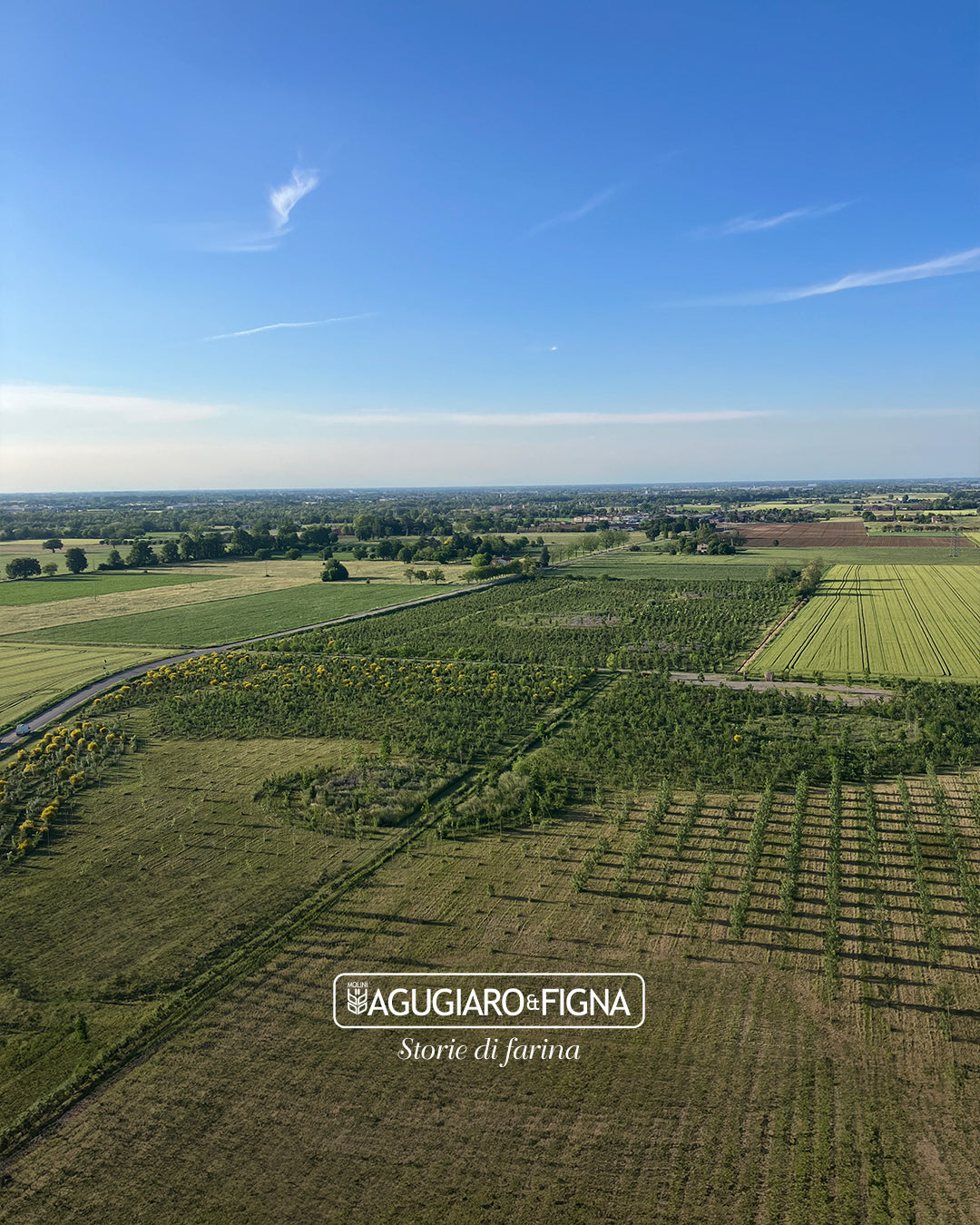 18,000 trees, planted